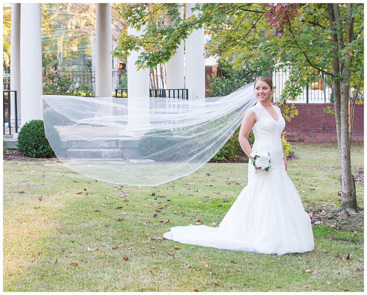 Veil in the wind bridal