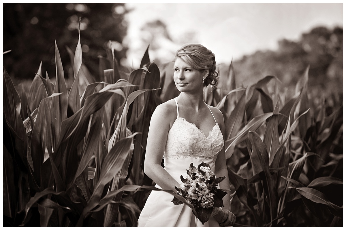 Farm bridal portrait