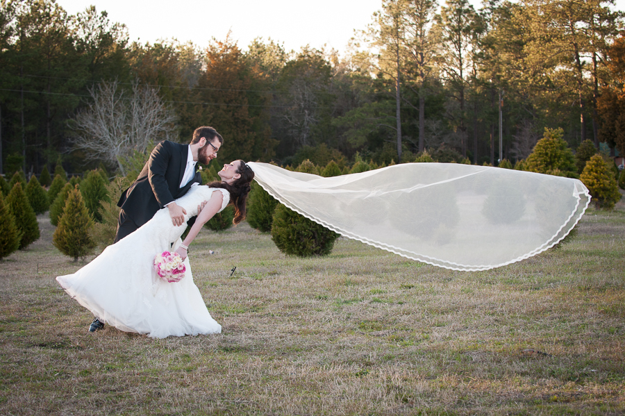 Veil in the wind pinterest inspiration