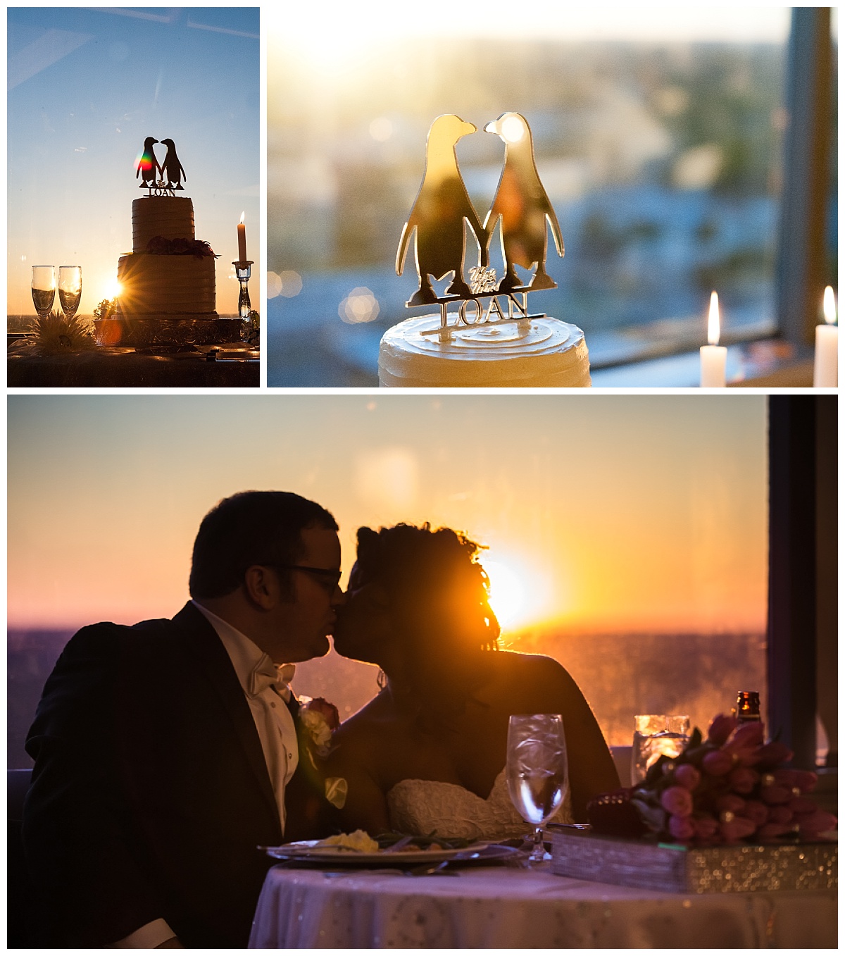 sunset and penguin cake topper