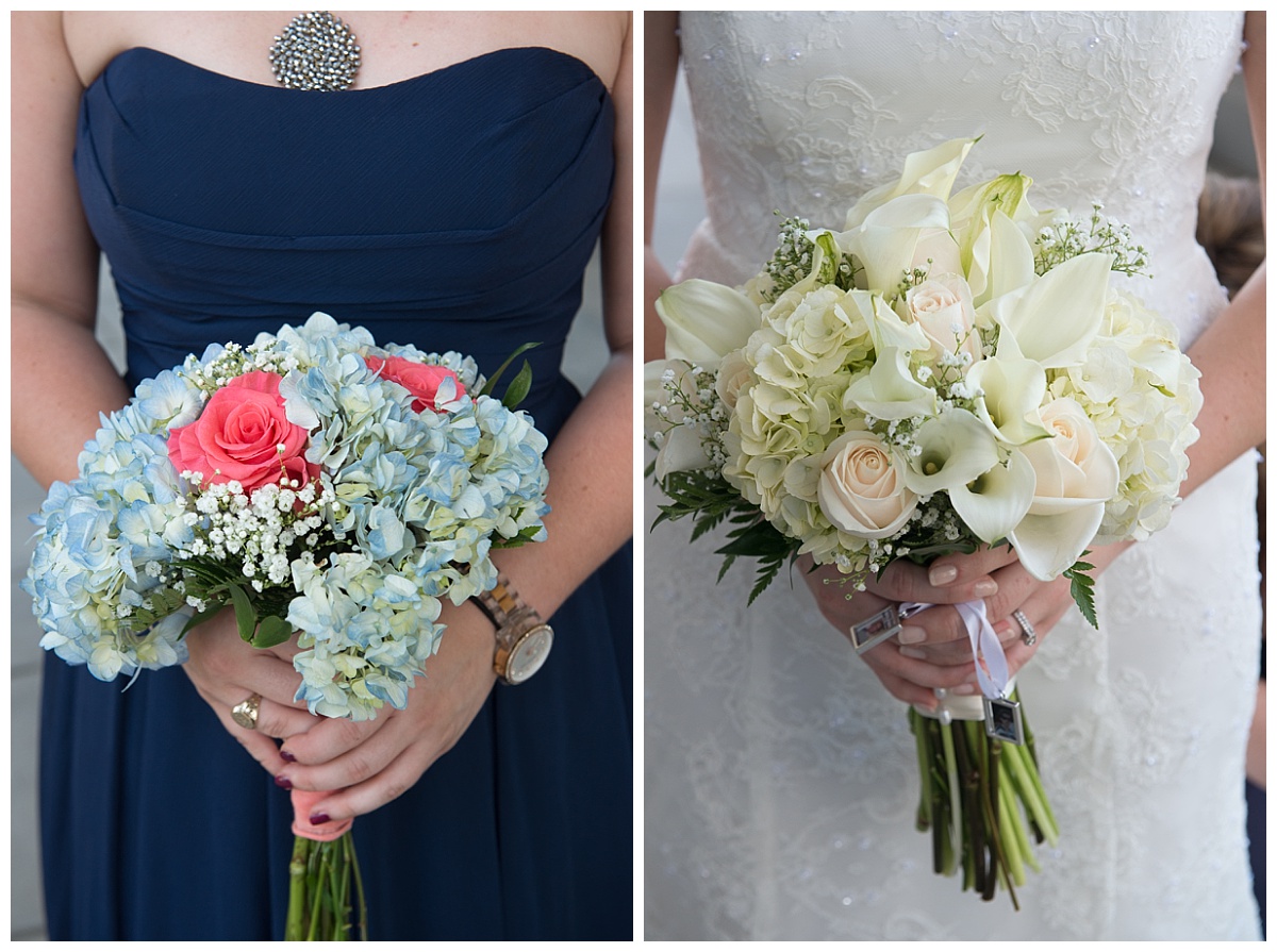 Hydrangea flowers