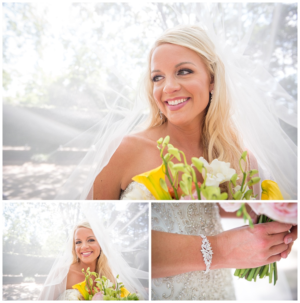 Bridal portrait under veil