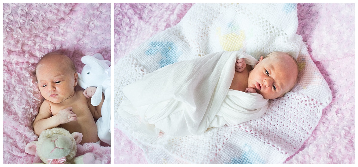 Columbia lifestyle newborn session