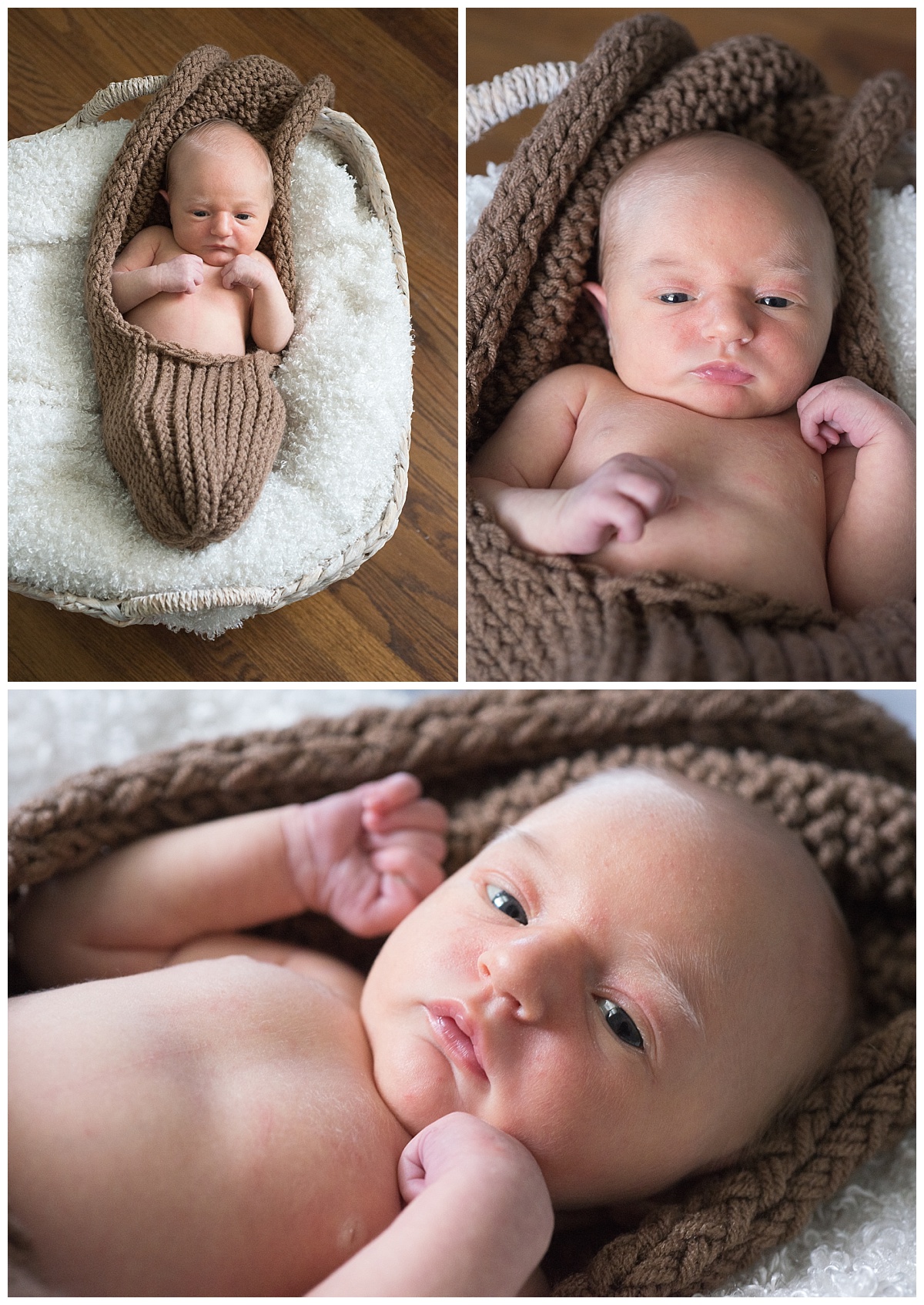 Columbia newborn photography