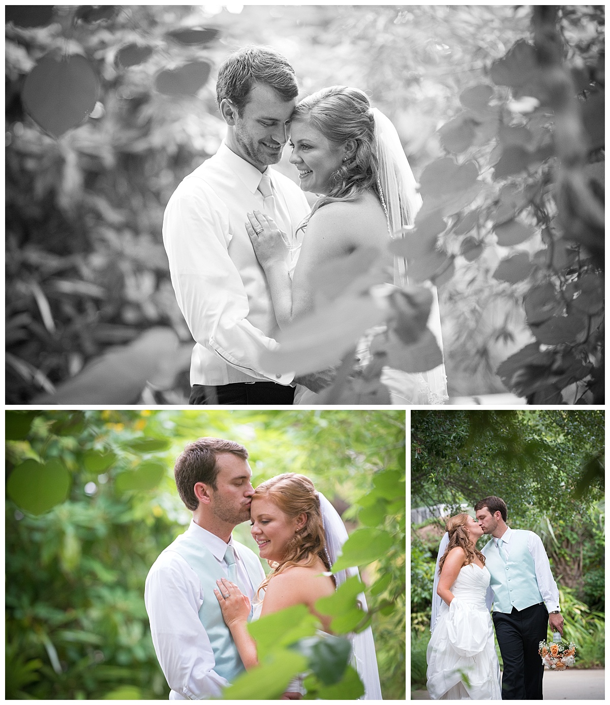 Bride and groom at zoo