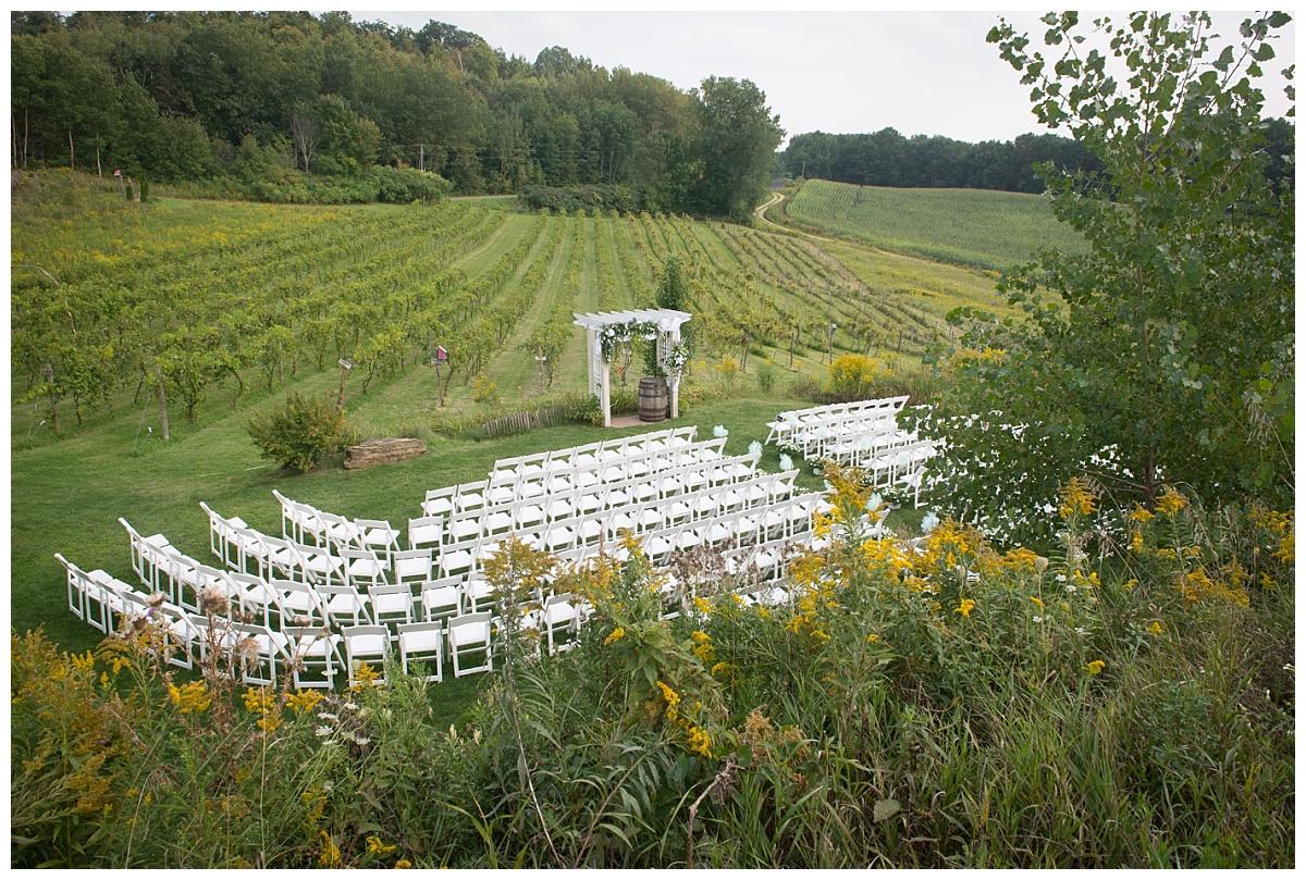 Vineyard ceremony