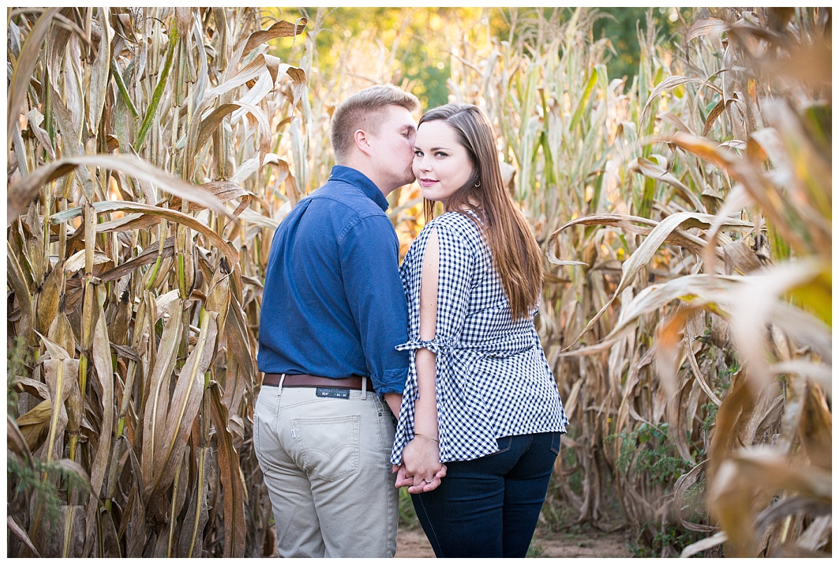 Corn maze