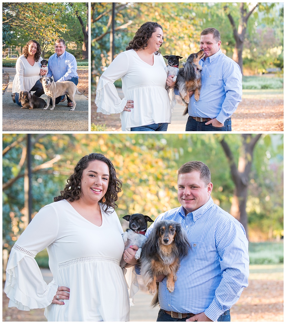 Engagement session with dogs