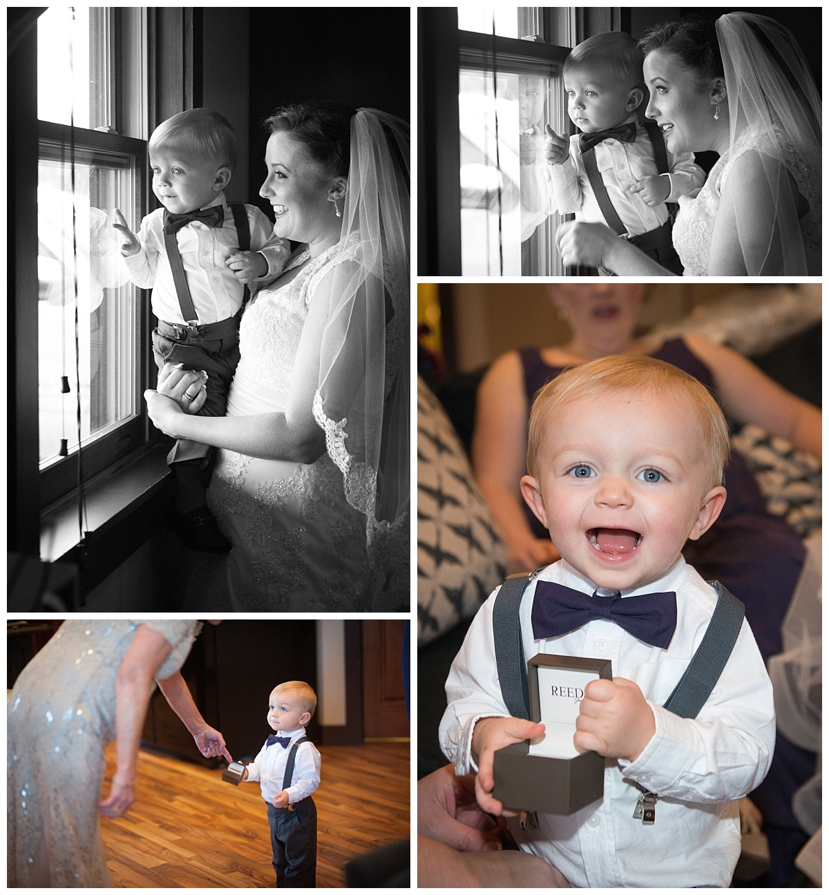 Ring bearer