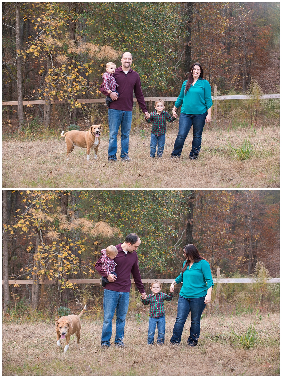 Farm portraits in blythewood sc