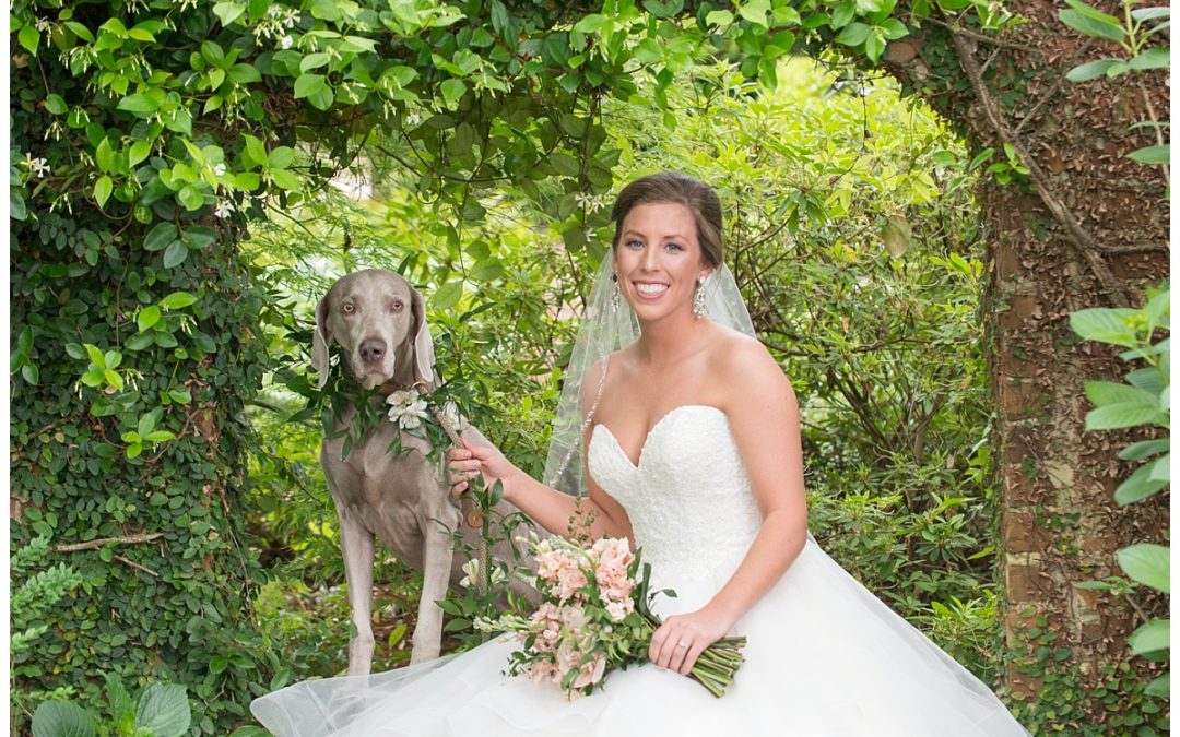 Bailey’s Lace House Bridal Portrait with Dog