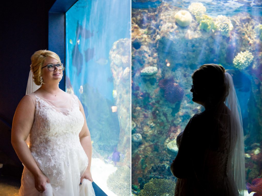 Aquarium bride